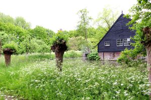landgoed-huis-oudegein-groene-congres-locatie