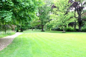 landgoed-oudegein-groen-vergaderen